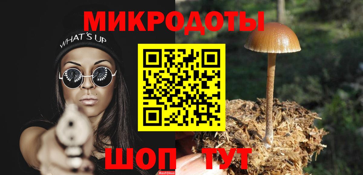 купить   Вход с VPN  Ноябрьск  Галлюциногенные грибы Psilocybine cubensis 